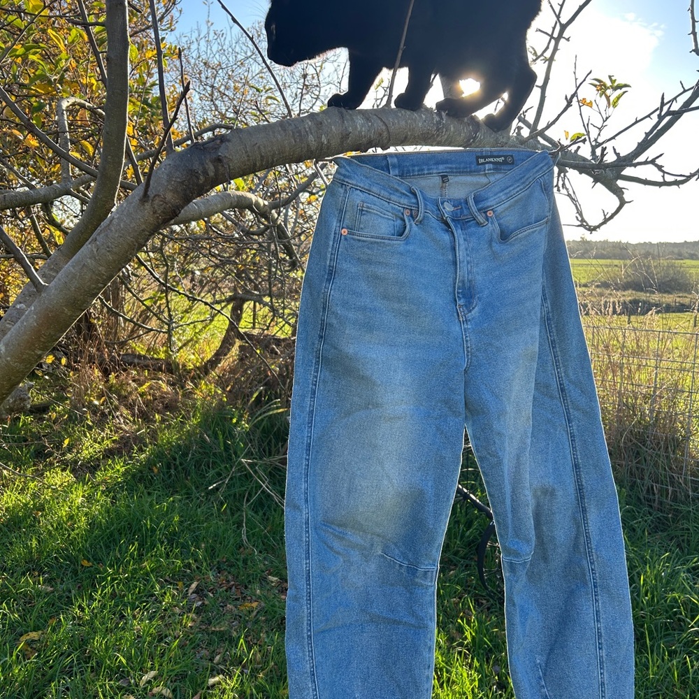 Blank NYC Light Blue Barrel Jeans